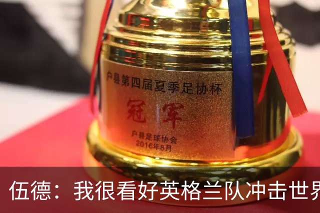 伍德：我很看好英格兰队冲击世界杯冠军，也期待他们能最终捧杯